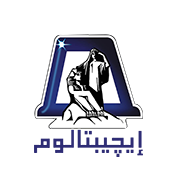 شركة مصر للألومنيوم